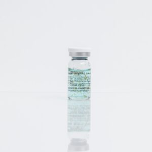 STAYVE STEM CELL